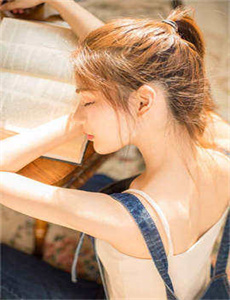 山口山战记第二季